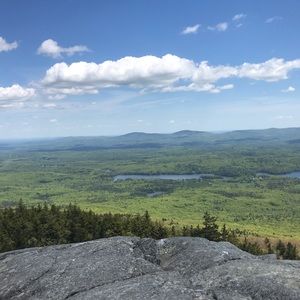 Meet your Posher, Alexia